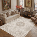 Soft Faux Cashmere Persian Pattern Rug | Non-slip, Machine Washable, Soft And Non-shedding, High-quality, Available In Multiple Sizes, Home Decor | Area Rugs\u002Fcarpet\u002Fmat